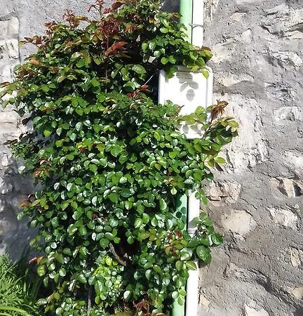 Valle Intelvi * Lura
